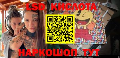крисы Будённовск