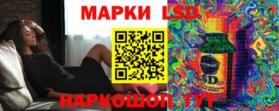 крисы Будённовск