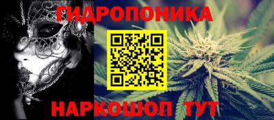 крисы Будённовск