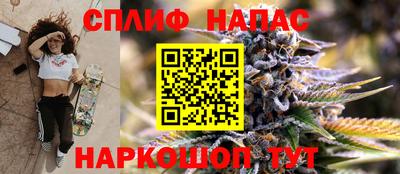 крисы Будённовск