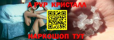 крисы Будённовск