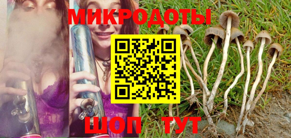 Чехов  Псилоцибиновые грибы мицелий  Вход с VPN 