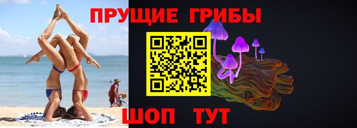 Псилоцибиновые грибы мицелий Чехов